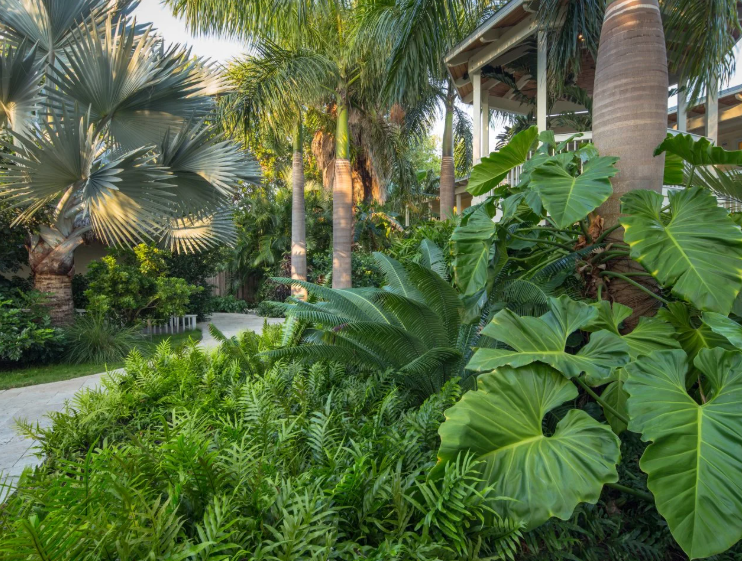 Tropical Garden Gallery 1